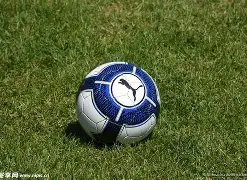 快报,日体育新闻,集锦,杏彩体育平台官网入口,杏彩体育官方网站,杏彩体育平台首页官网入口,杏彩体育app最新版下载