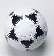 泷泽萝拉,混血美少女,变全能明星,杏彩体育平台官网入口,杏彩体育官方网站,杏彩体育平台首页官网入口,杏彩体育app最新版下载