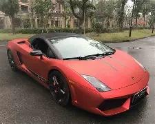 激情对决,雄鹿主场硬,碰残阵森林,杏彩体育平台官网入口,杏彩体育官方网站,杏彩体育平台首页官网入口,杏彩体育app最新版下载