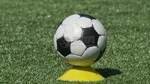 杏彩体育平台首页官网入口 产品 091523 kar