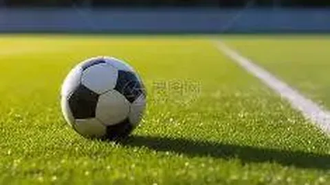 杏彩体育平台首页官网入口 资讯 101027 sxe