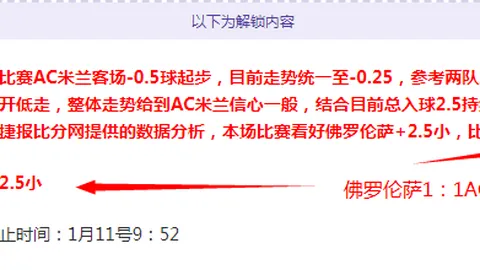 “欧冠焦点战：深度解读米兰与费耶诺德1-1平局背后的转会之谜”