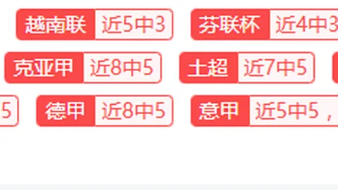 切尔西1-0富勒姆，芒特首球维纳尔错失良机