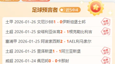 绿茵守望者夜幕降临