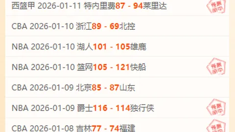 馬祖拉讚揚雙塔固若金湯，科內特封堵申京展現地面籃球風采